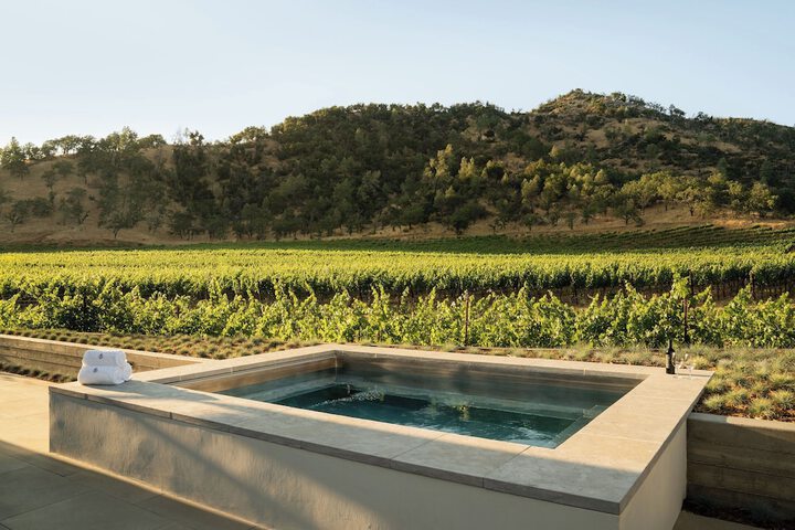 Vineyard view
