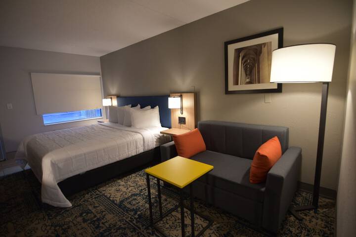 1 King Bed (16 of 20)