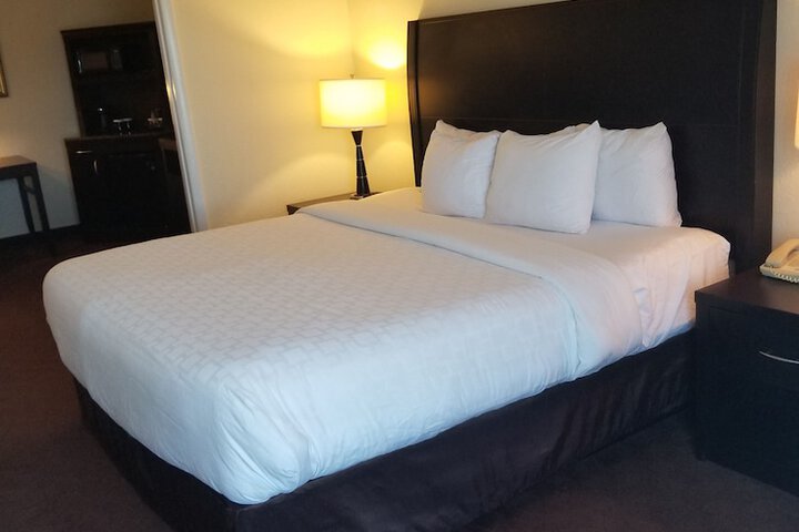 1 King Bed Accessible (41 of 50)
