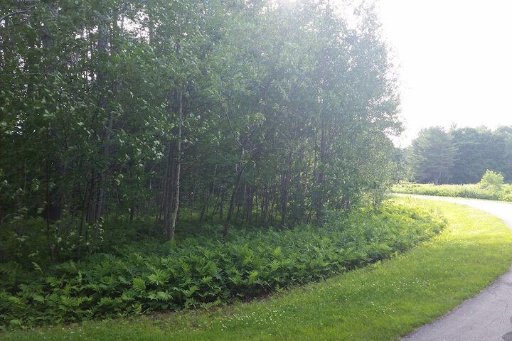 Outdoor Activities 43 of 51