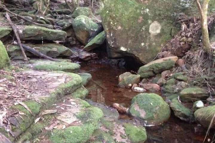 Property Grounds 14 of 21