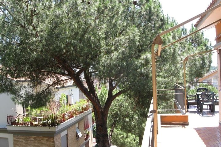 Terrace/Patio 21 of 23