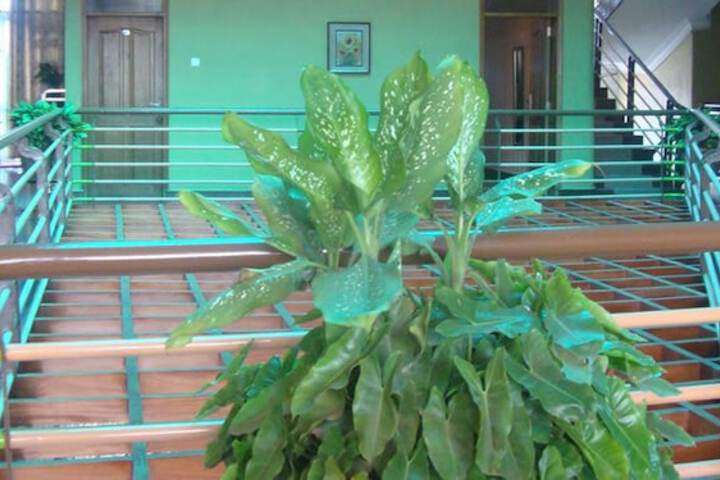 Ballroom/Hall 15 of 19