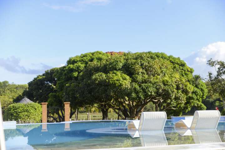Pool 44 of 115