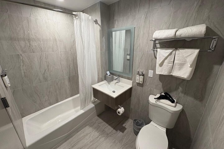 Standard King Bed Accessible (8 of 12)