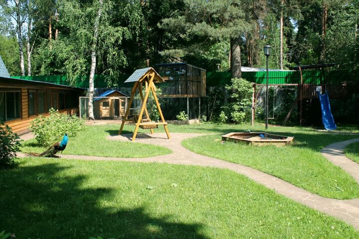Children's area