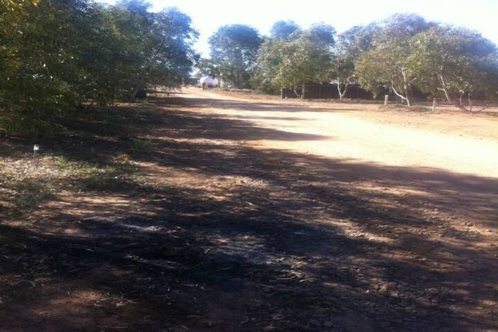 Property Grounds 35 of 47