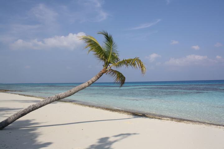 Beach 50 of 57