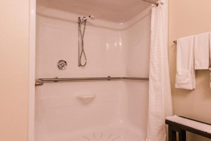 1 King Bed Accessible (8 of 12)