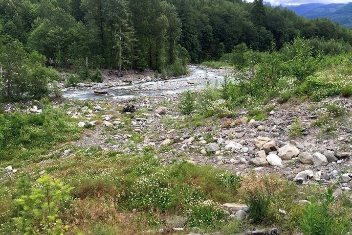 Property Grounds 38 of 40