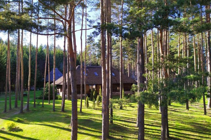 Image of Gungas