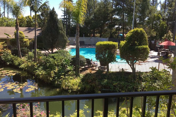 View from room