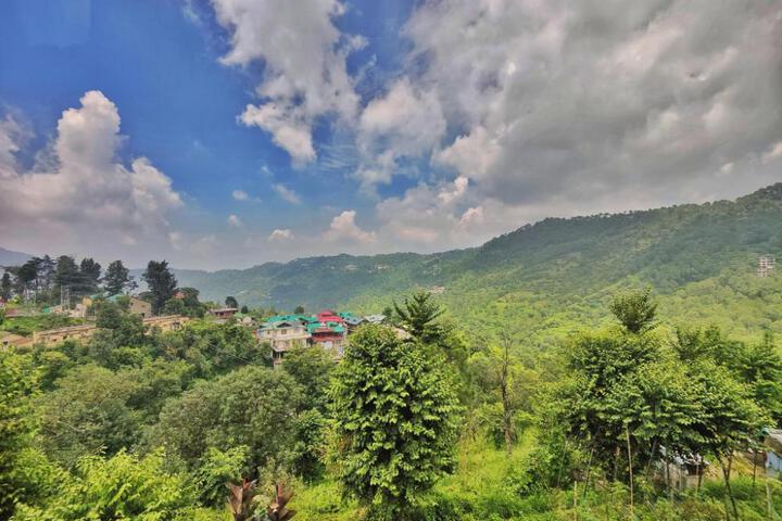 Homz in Valley
