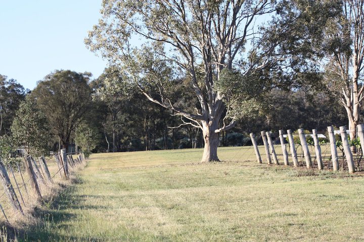 Hotel Exterior 95 of 112