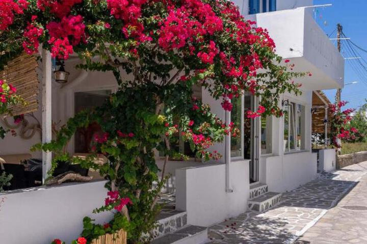 Hotel Antiparos