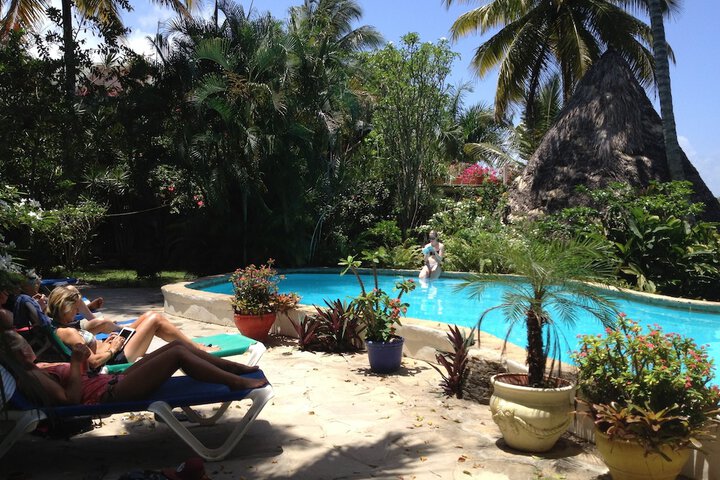 Cabarete Surf Camp in Cabarete