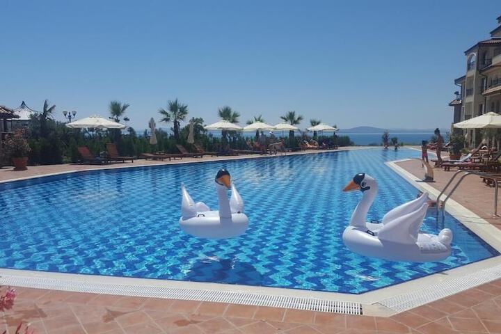 Pool 34 of 54