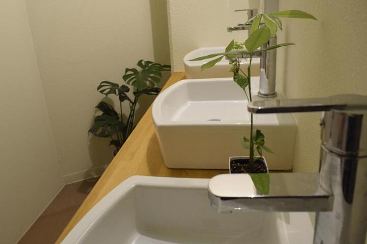 Spa and Wellness Pictures