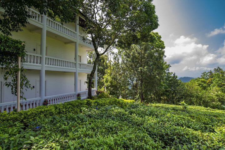 Hotel 52 of 60