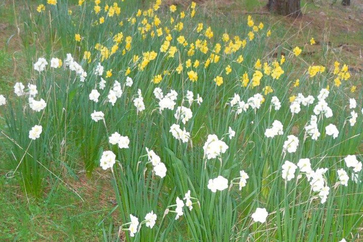 Property Grounds 27 of 40