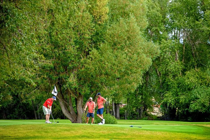Golf 48 of 109