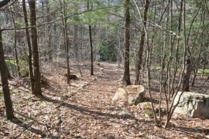 Property Grounds 7 of 16