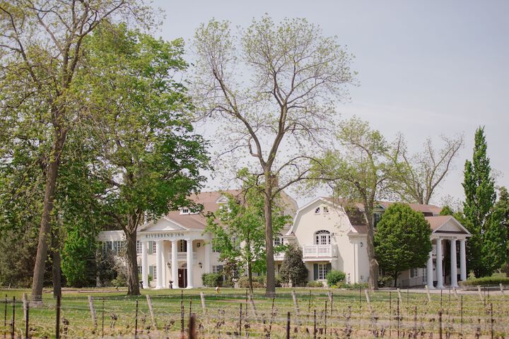 Vineyard view