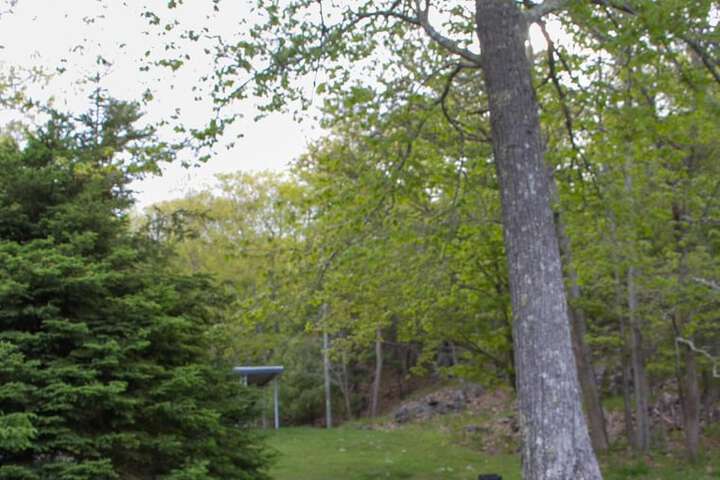 Property Grounds 35 of 43