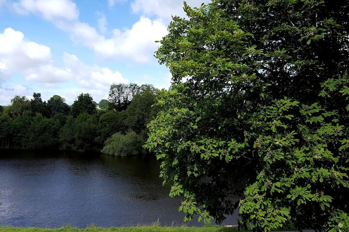 Logis Hotel Beau Rivage in Mayenne