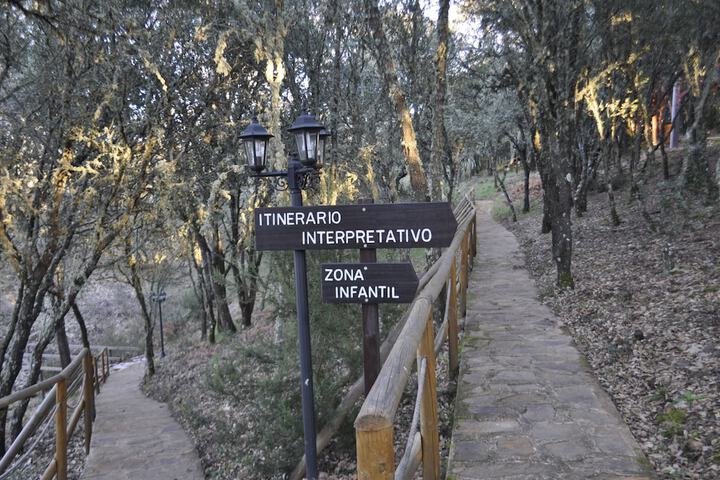 Children's area