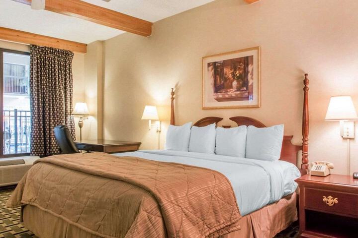 1 King Bed (3 of 9)