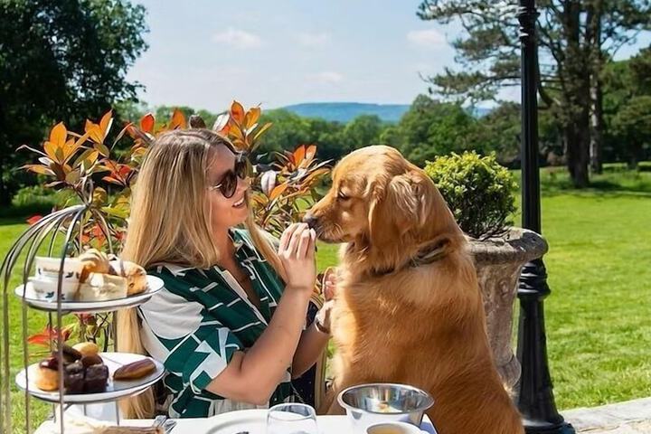 Pet Friendly 58 of 141