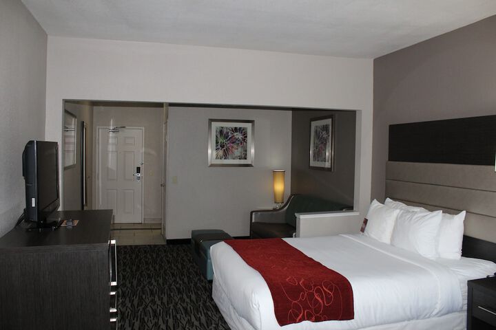1 King Bed Suite (6 of 21)