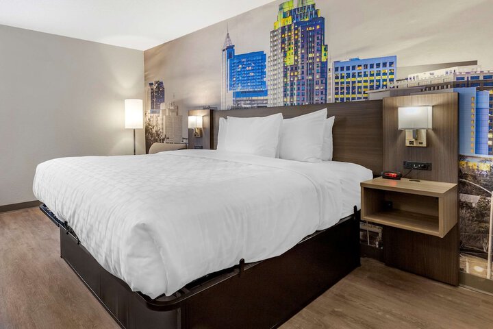 Standard King Bed Accessible (12 of 14)