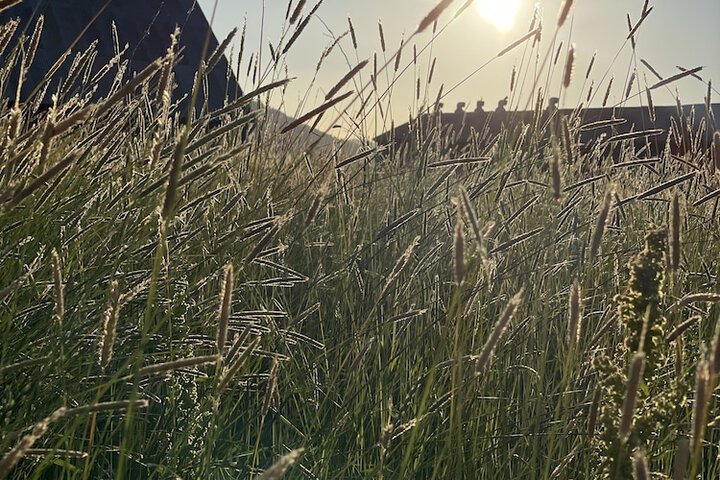 Outdoor Activities 25 of 35