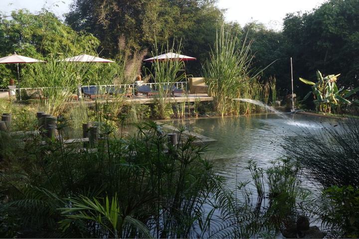 Pool to Cool