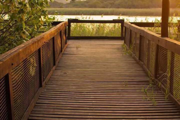 Dock