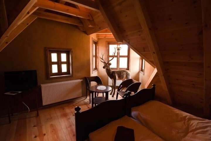 Room 3 of 40