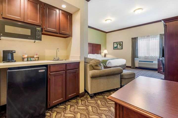 Suite King Bed Accessible (5 of 11)