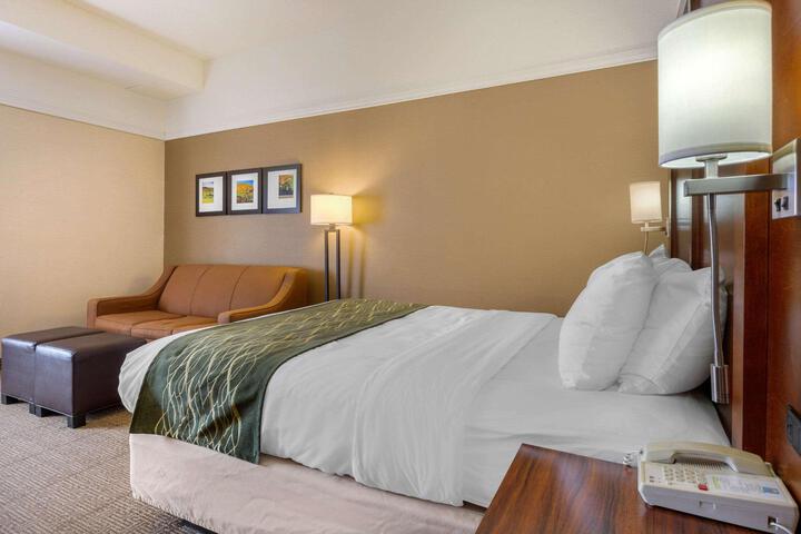 1 Queen Bed Accessible (21 of 24)