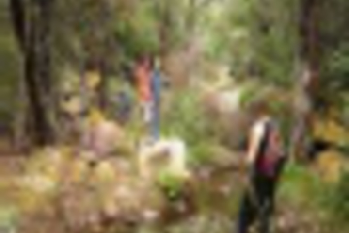 Outdoor Activities 63 of 792