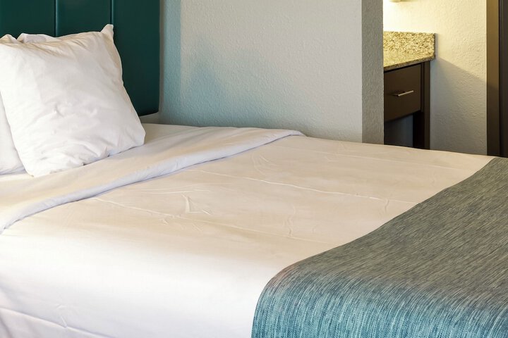 1 Queen Bed Accessible Mobility and Hearing Roll in Shower (3 of 8)