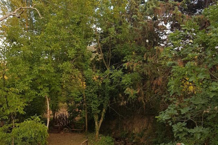 Property Grounds 19 of 33