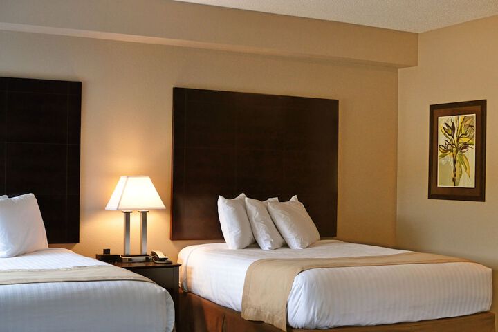 2 Queen Beds (6 of 10)