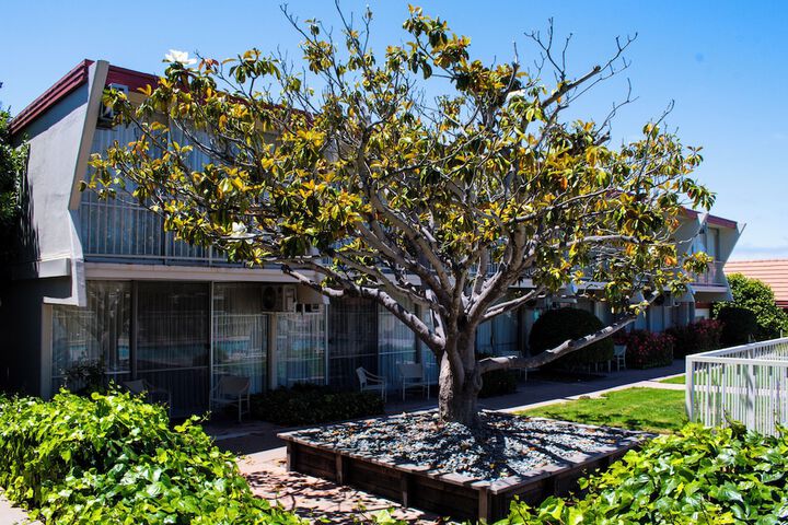 Courtyard
