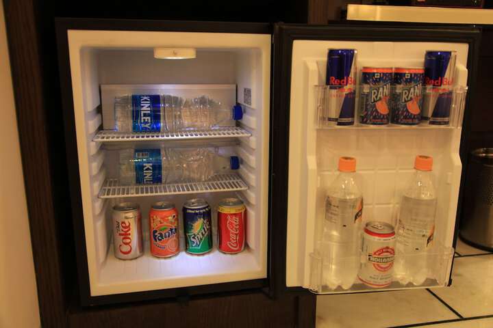 Mini-refrigerator
