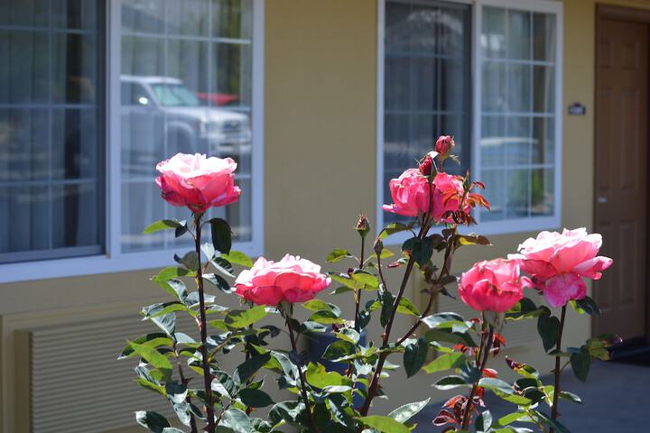 Hotel Exterior 25 of 36