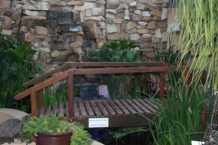 Spa and Wellness Pictures