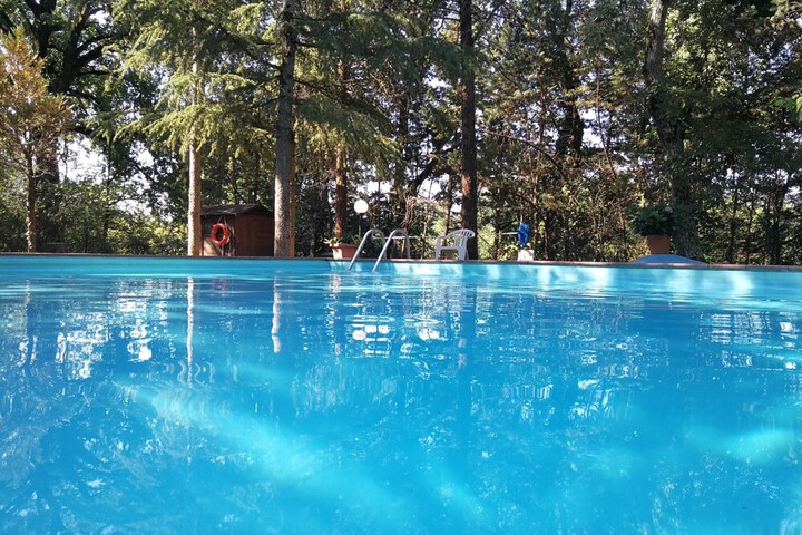 Pool 65 of 121