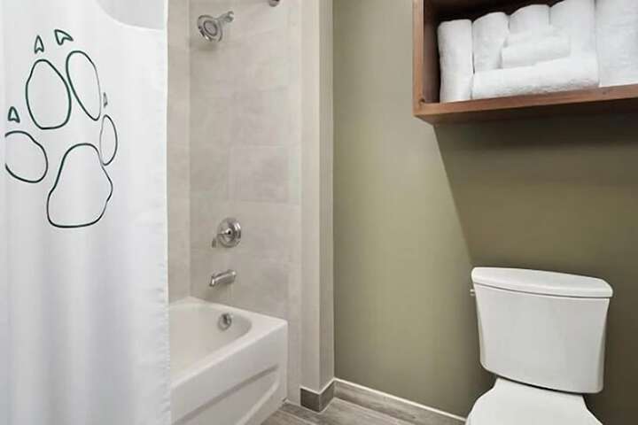 Bathroom Interior Photo